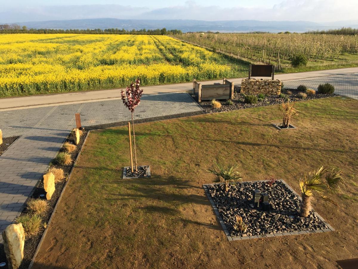 Wohnung 1 Im Kirschbluetenhof Ingelheim am Rhein Dış mekan fotoğraf